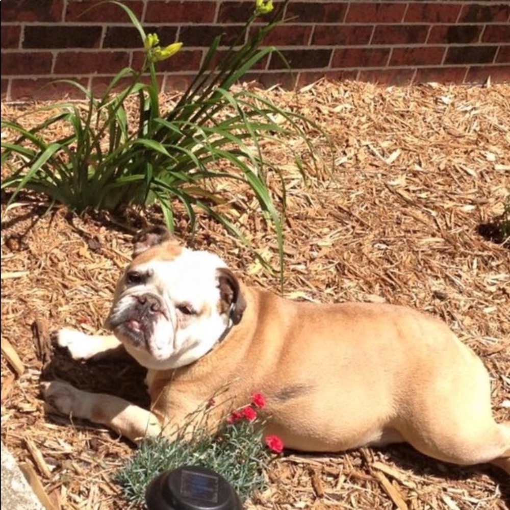 Meet your Posher, Jamie